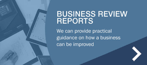 Business Review Reports